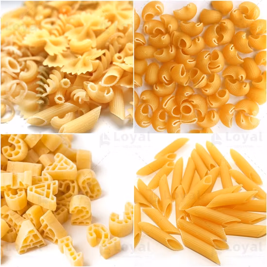 Linea lavorazione pasta lunga corta senza glutine maccheroni spaghetti